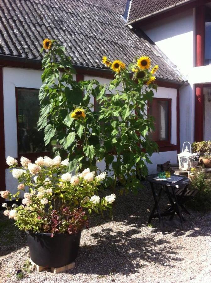 Praestogaard Bed & Breakfast Exterior foto