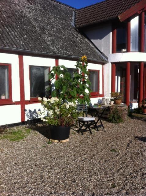 Praestogaard Bed & Breakfast Exterior foto