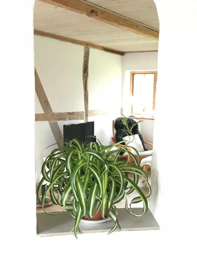 Praestogaard Bed & Breakfast Exterior foto